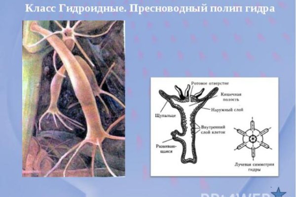 Омг торговая площадка