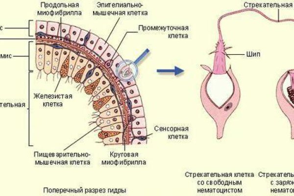 Мега омг ссылки